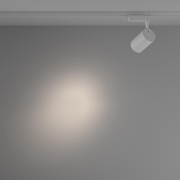Lampa sufitowa 1-fazowa Vuoro TR003-1-15W4K-S-W LED 15W 4000K ścieżka świetlna biała