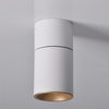 Reflektorek sufitowy Astra 314024 Polux downlight tuba biała