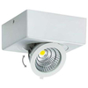 LAMPA sufitowa IGOR LED 6W 4000K 03127 Ideus metalowa OPRAWA kwadratowa regulowany plafon reflektorek biały