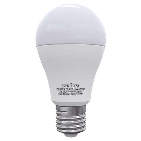 Żarówka LED ERSTE 02795 Ideus   E27 A60   12W 1050lm 230V   biała zimna