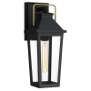 Elewacyjna lampa ścienna Buckley QZ-BUCKLEY-M-MBK szklana IP44 czarny