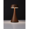 Stołowa lampka zewnętrzna FORTIZA LE75282 LED 2W 3000K IP54 rdzawy
