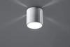 Natynkowa LAMPA sufitowa SL.0355 metalowa OPRAWA plafon tuba biała