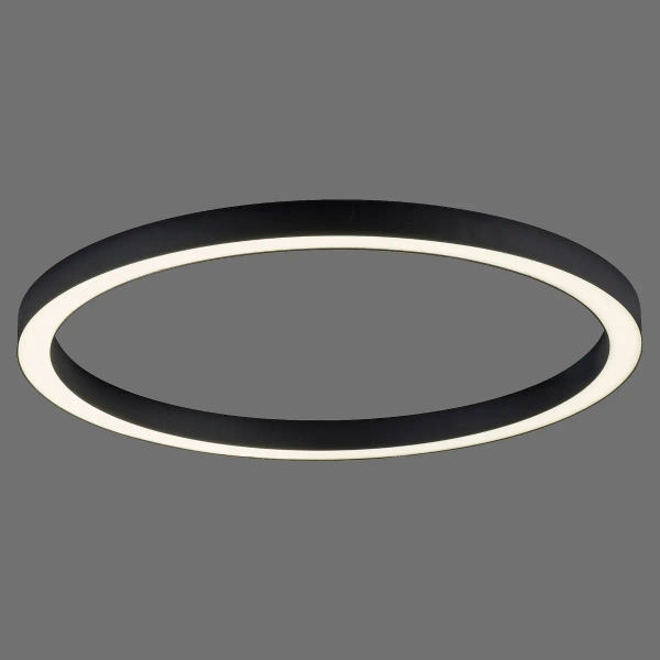 Owalna lampa sufitowa z pilotem PURE-LINES grafitowa 6306-13 1xLED 42W CCT