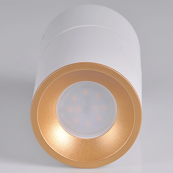 Regulowana lampa sufitowa Nixa downlight tuba biała złota