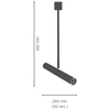 LAMPA sufitowa AKADI 0130 Amplex okrągła OPRAWA tuba metalowa czarna złota
