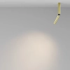 Obrotowa lampa sufitowa Focus T C142CL-6W3K-BS LED 6W 3000K mosiądz