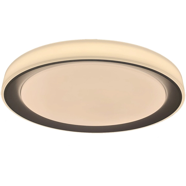 Okrągła lampa sufitowa Everest LED 40W 2700-6500K z pilotem srebrna