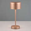 Stołowa lampka sypialniana KARYA DL165-59151 RL Light LED 1,5W 3000K kawowa