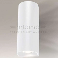 Kinkiet LAMPA ścienna UDA 7459 Shilo przyścienna OPRAWA metalowa biała passa