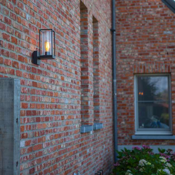 Ścienna LAMPA ogrodowa FLAIR 5288801012 Lutec zewnętrzna OPRAWA elewacyjna outdoor IP44 czarna przezroczysta