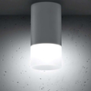 Sufitowa lampa spot 2273686 okrągła tuba downlight industrialny biały