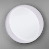Sufitowa lampa Zeta R62712411 RL Light LED 24W 2700-6500K szara biała