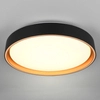 Okrągła lampa sufitowa Felis R64391080 RL Light LED 24W 2700-6500K czarny złoty