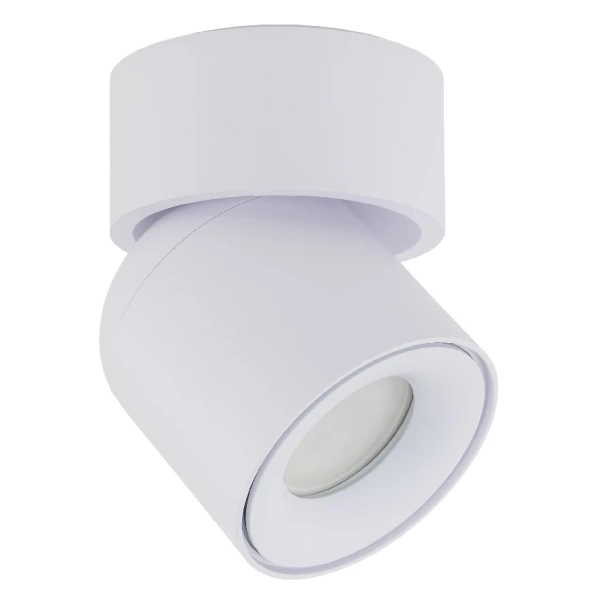 Spot sufitowa lampa punktowa Twist 10576 regulowana metalowa biały