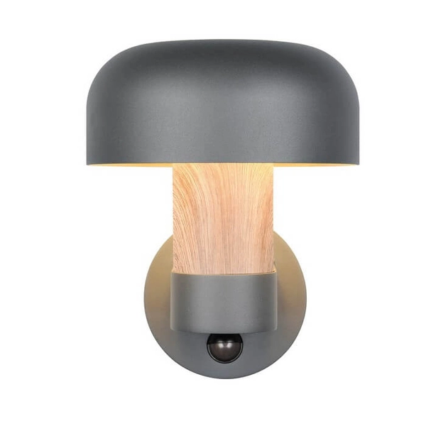 Zewnętrzna lampa ścienna FRASER 262569135 na elewację IP54 szara