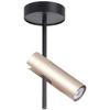 Kinkiet LAMPA ścienna LEDA 33108 Sigma metalowa OPRAWA regulowana tuba modernistyczna złota