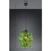 Salonowa lampa wisząca Leavy R10461915 RL Light roślina czarna zielona