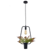 Wisząca LAMPA kuchenna 313867 metalowa OPRAWA ramka dekoracyjna ZWIS geometryczny plants czarny