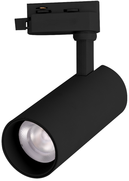 Reflektor szynowy Blaupunkt DRS1-12WW LED 12W 3000K 1-faz czarny