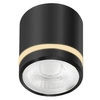 Natynkowa lampa sufitowa VICI AZ6039 Azzardo LED 12W 3000-6000K IP44 tuba czarny