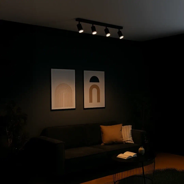 Industrialna lampa podsufitowa Pipe Ring Spot ML2073 na belce czarny