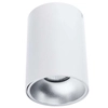 Natynkowa LAMPA sufitowa NERO C1255-1L WH/S AUHILON tuba OPRAWA downlight REMO biała
