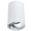 Sufitowa lampa natynkowa NERO C1255-1L WH/S tuba downlight REMO biała