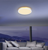 Lampa sufitowa ściemnialna Sapana 41562- 18W LED 18W 3000K biała