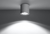Downlight LAMPA sufitowa SL.0645 betonowa OPRAWA spot tuba szara
