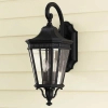 Zewnętrzna LAMPA elewacyjna Cotswold  FE-COTSLN2-M-BK Elstead FEISS ogrodowa OPRAWA szklany kinkiet retro IP44 czarny przezroczysty