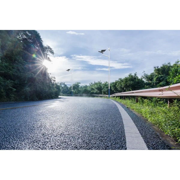 Uliczna lampa Windsun Greenie INF-G06-40-PROJEKT LED 40W CCT IP66 biały