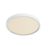 Okrągła lampa sufitowa NOXY 2015356101 LED W 3000-4000K IP44 biały