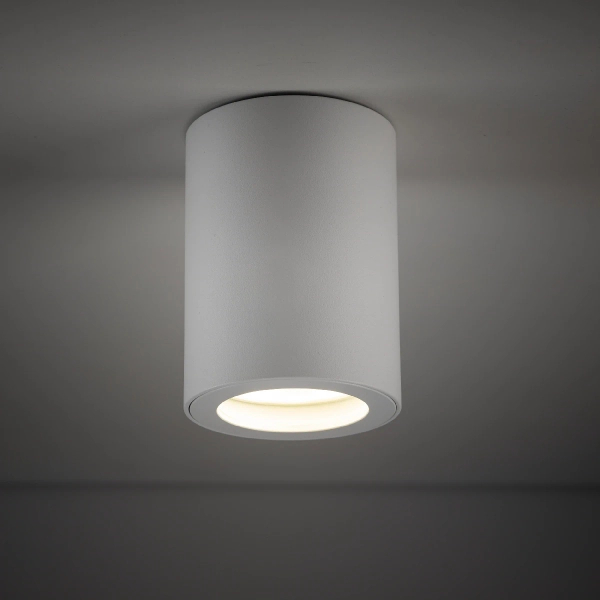 Sufitowa lampa natynkowa Ligno 10932 tuba okrągły IP44 biały