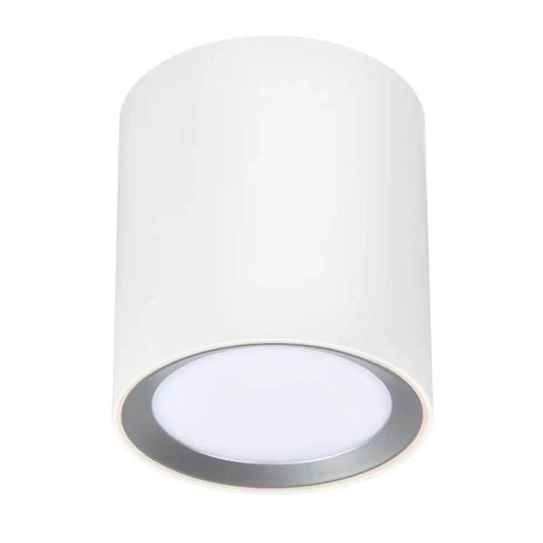 Lampa sufitowa tuba LANDON 2110670101 LED 6,5W 2700K IP44 biały