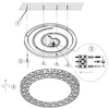 Sufitowa lampa okrąg Cluster R67321101 LED 40W 2700-6500K na pilota biały