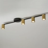 Przysufitowa lampa metalowa Sky do przedpokoju czarna złota