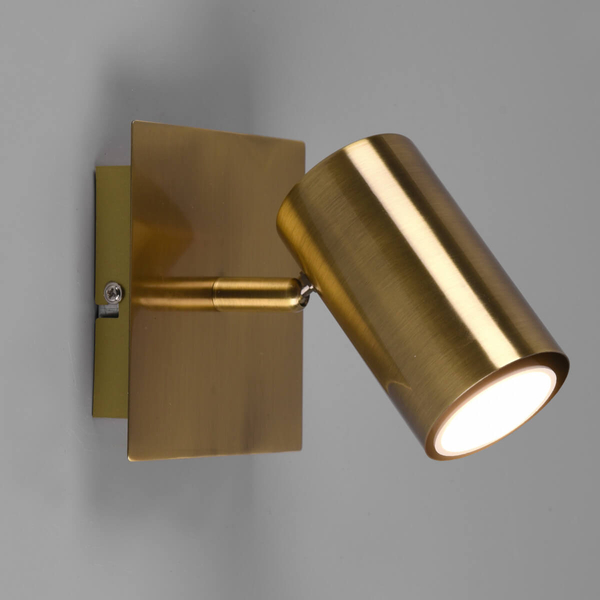 Sufitowa lampa reflektor VANTOS DL104802400 Trio tubka do holu mosiądz