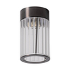Lampa sufitowa Aria 1231 Zuma tubka przezroczysty tytanowy