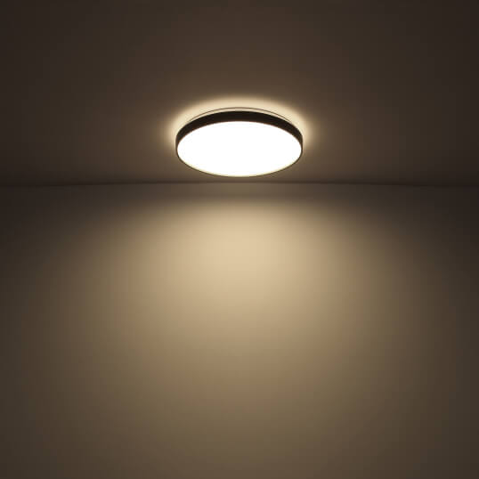 Sypialniana sufitowa lampa Eclypse 41262-24C LED 24W 4000K okrągła szara