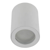 Sufitowa lampa natynkowa Ligno 10932 tuba okrągły IP44 biały