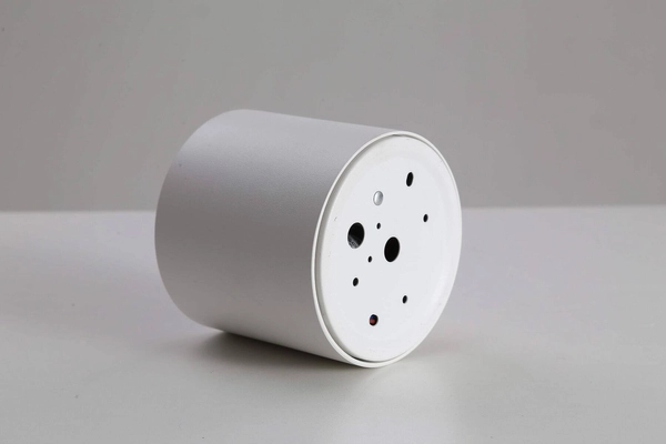 Lampa sufitowa ROLLER DLW10NW metalowa downlight LED 10W 4000K tuba biała