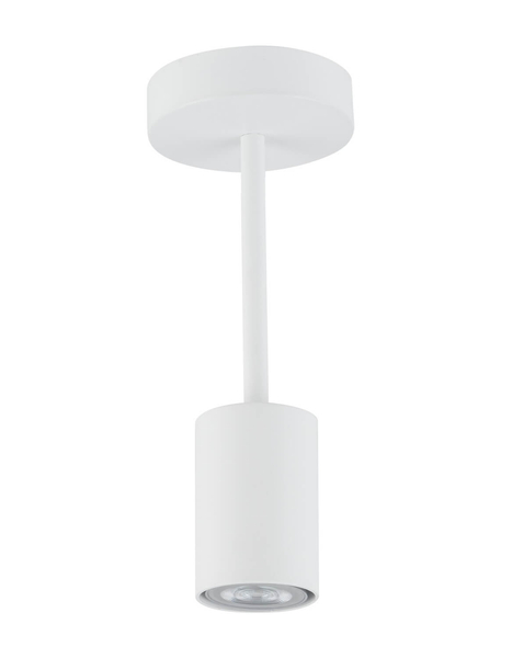 Loftowa lampa sufitowa Luis biały downlight do przedpokoju