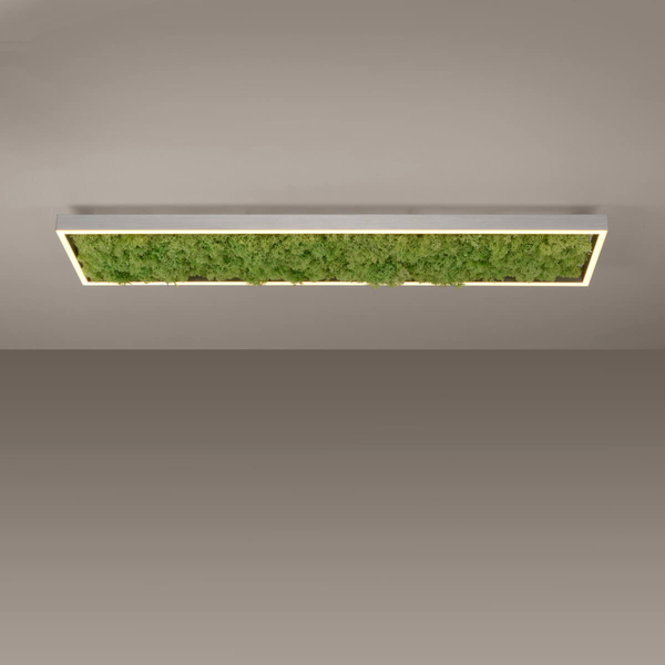 Dekoracyjny plafon GREEN KNUT 15623-66 LED 25W 3000K do jadalni zielony