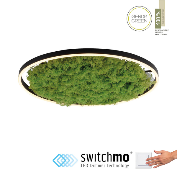 Lampa sufitowa salonowa GREEN RITU 15392-66 LED 28W 3000K zielony