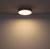 Lampa sufitowa Rainer 41745-24 do pokoju LED 24W 2700-6500K drewniana