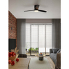 Sufitowa lampa GUARAYOS LE44967 LED 18W 3000-6500K wentylator czarna