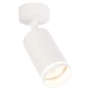 Punktowa lampa sufitowa Pipe Ring Spot ML2068 tubka biały