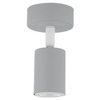 Regulowana lampa ścienna Livia 10223 tuba reflektorek szara