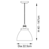 Wisząca lampa do salonu Hansen 97588 nad stół srebrny przezroczysty